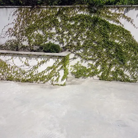 卢巴之家旅馆 * 圣弗拉斯