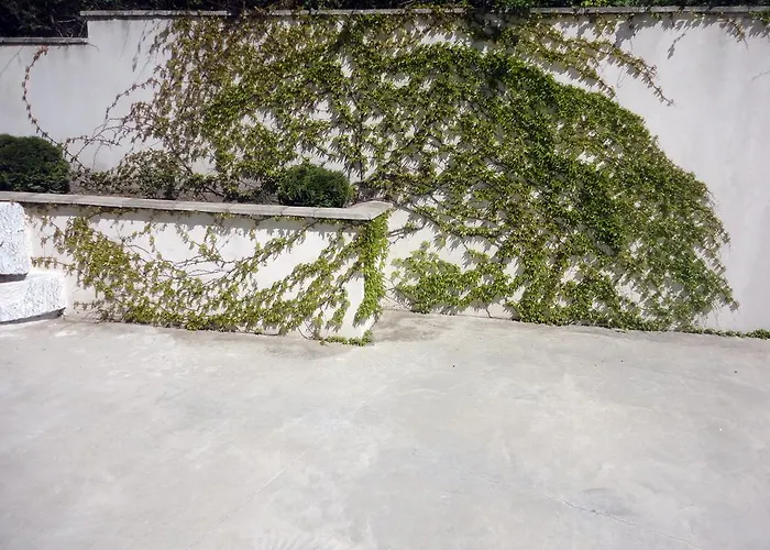 卢巴之家旅馆 * 圣弗拉斯