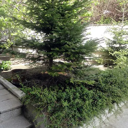 Apartment Guest Casa Luba *